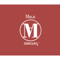 antonio mele logo - Similar company to Antonio Mele Srl