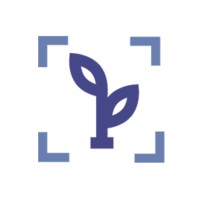 Cbd Scanner