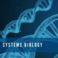 Systems Biology logo - Similar company to Phd-Trip Mib Ssb