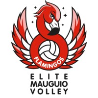 Élite féminine de Mauguio Volleyball logo - Similar company to Comunissons