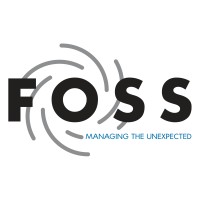 Steven Foss Consulting, LLC. logo - Similar company to Joplin Expats