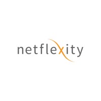 Netflexity logo - Similar company to Nebulent, Inc.