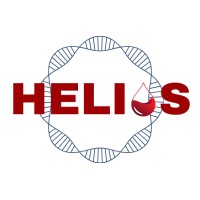 HELIOS ACTION logo - Similar company to Consa