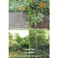 Nicametsätila logo - Similar company to Über Creative