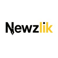 Newzlik logo - Similar company to Excel Computer
