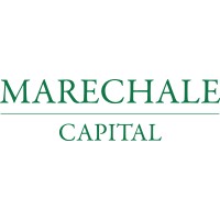 Marechale Capital Plc logo - Similar company to Palamida (Now Revenera)
