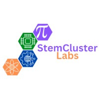 StemCluster Labs logo - Similar company to Cisoft Technologies