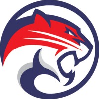 Cougar Auto Spare Parts Trading L.L.C logo - Similar company to Golden Extreme Auto Spare Parts Trading