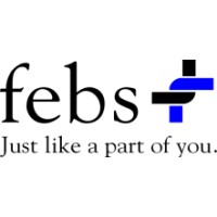 febs Consulting GmbH logo - Similar company to Corporate Pension Partner Cpp Gmbh