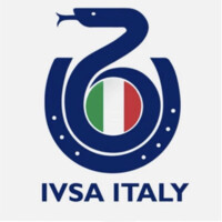 IVSA ITALY logo - Similar company to Siumb