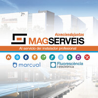 MAGserveis logo - Similar company to Qventi