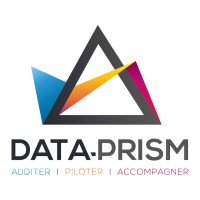 Data-Prism logo - Similar company to E&I Services