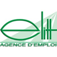 Elitt Agence D'Emploi logo - Similar company to Demetz