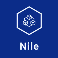 Nile logo - Similar company to Chat4Good Technologies