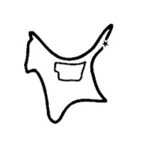 Camp Unistar Foundation