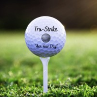 Tru-Strike (Pty) Ltd logo - Similar company to Striketru Infosolutions Private Limited