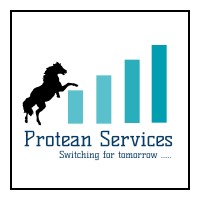 Protean Services logo - Similar company to Parampara Naturals