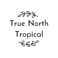 True North Tropical logo - Similar company to Tileyi