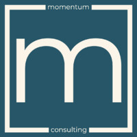 momentum consulting logo - Similar company to Magnifyx