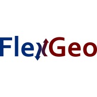 FlexGeo Project logo - Similar company to Geosyn