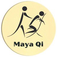 Maya Qi logo - Similar company to Excellco