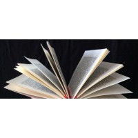 FIL de SOI , la beauté de l’être logo - Similar company to Co&Flow