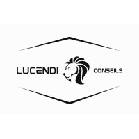 LUCENDI Conseils logo - Similar company to Zevolt
