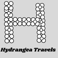 Hydrangea Travels logo - Similar company to Gyeonggido Office Of Education Institute For Global Education  (Gige)