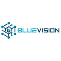 Bluevision AI logo - Similar company to Wallenc