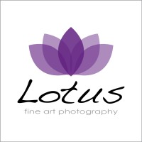 Lotus Fine Art logo - Similar company to K C Dat Singapore