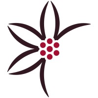 Gelats Alemany logo - Similar company to Fooquo