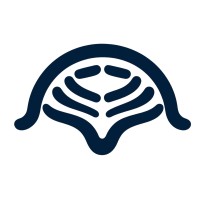 Deep MindScape logo - Similar company to Deep Think Llc