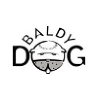 Baldy Dog Search Marketing