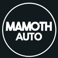 Mamoth-Auto logo - Similar company to Waukegan Computer