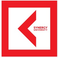 Synergy University International logo - Similar company to Ümlaut