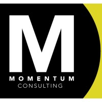 MOMENTUM Consulting logo - Similar company to Dufrane Technologies Llc