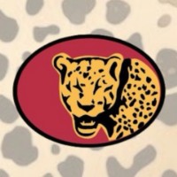 Dar Leopards RFC logo - Similar company to The Slow Leopard