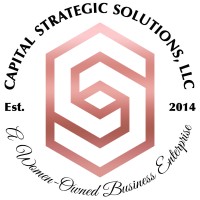 Capital Strategic Solutions logo - Similar company to Mr. Mold Remediation