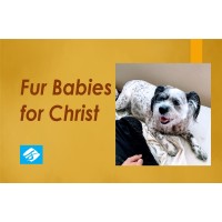 Fur Babies for Christ logo - Similar company to Mapstech Solutions