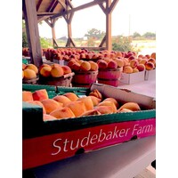 Studebaker Farm
