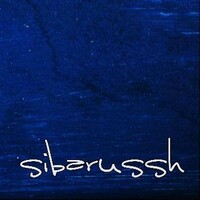 Sibarussh World logo - Similar company to Junco App