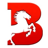 Bravidea | Digital Marketing Agency logo - Similar company to Darts Solutions | Digital Marketing Agency