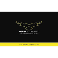 Aesthetics+Premium logo - Similar company to Agileei