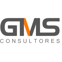 GMS Consultores logo - Similar company to Eridanus