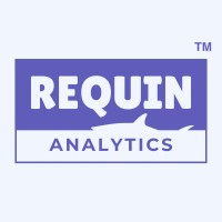 Requin Analytics logo - Similar company to Zigtech Solutions Llc