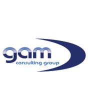Gam Consulting & Services GmbH logo - Similar company to Gamgroup