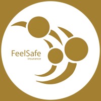 Feel Safe Insurance logo - Similar company to Physisorg