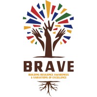 BRAVE- Building Resilience Awareness & Variations of Excellence logo - Similar company to Rainier Athletes