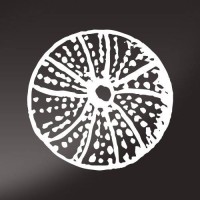 Giardino Eden Resort logo - Similar company to Yacht Habit