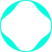 Oceanflight Technologies logo - Similar company to Delfoils